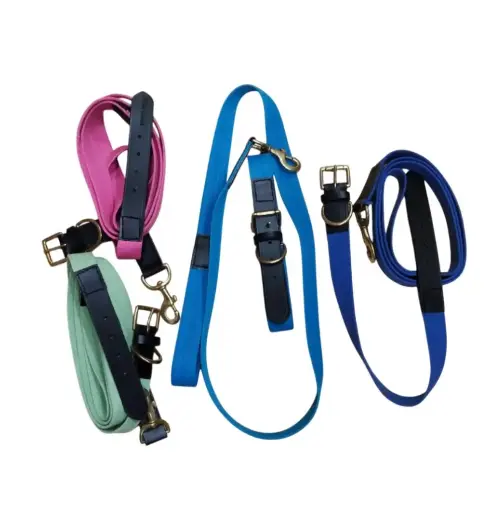 PawLicious - Cotton collar with leash